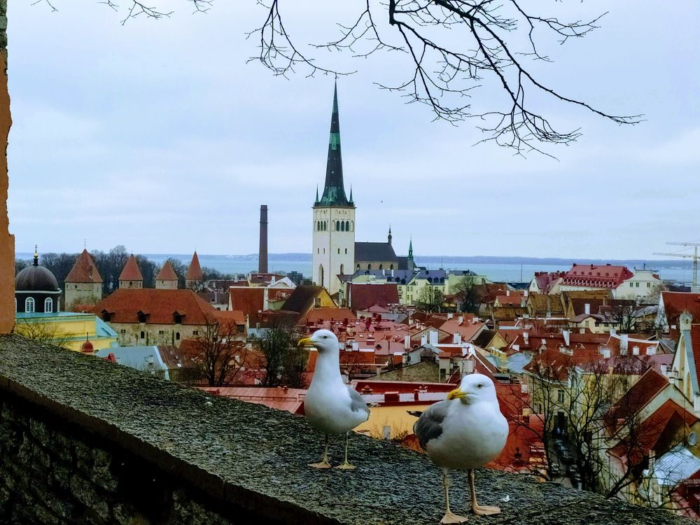 Photograph by Елизавета Хляпова