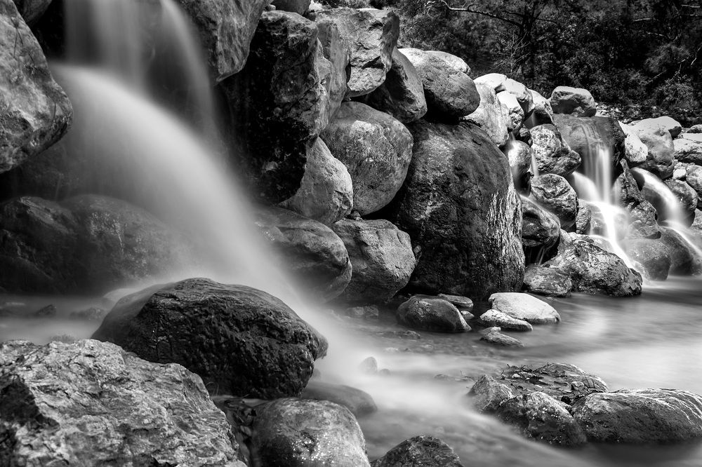 Photograph by Дьяченко Алёна