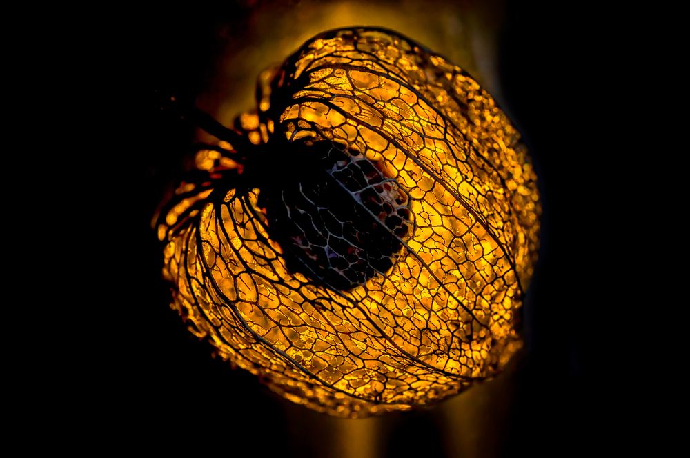 Photograph by Тараненко Анжелика