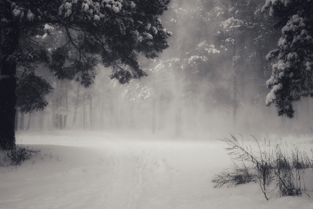 Photograph by Кира Бахвалова