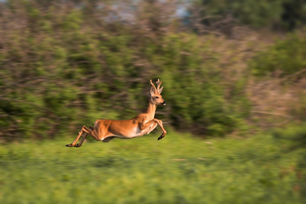 Photograph by Евгений Бочкарев