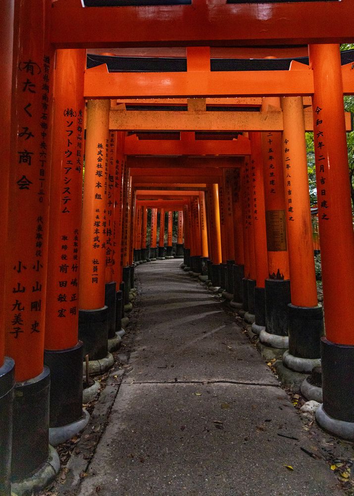 Photograph by Елена Подерегина