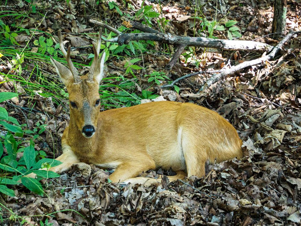 Photograph by Борис Полтавец