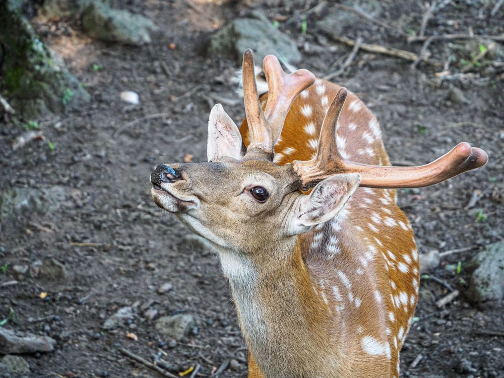 Photograph by Борис Полтавец