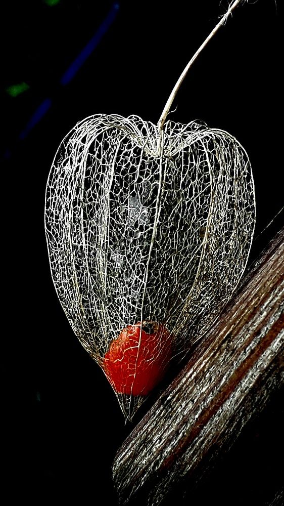 Photograph by Татьяна Солтан