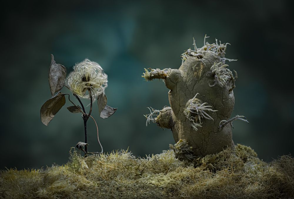 Фотография автора Черновол Валентин