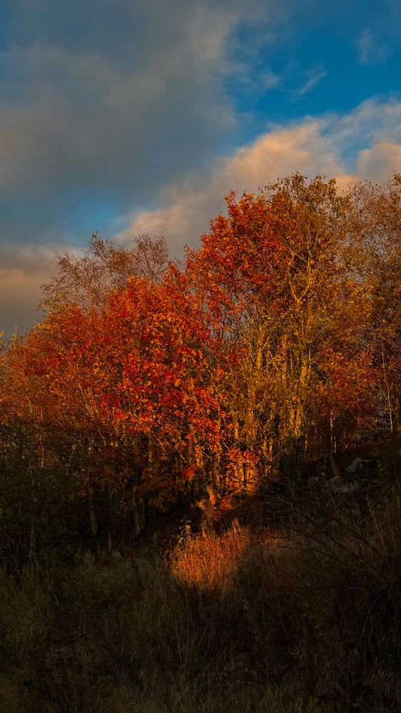 Photograph by Наталья Иванова