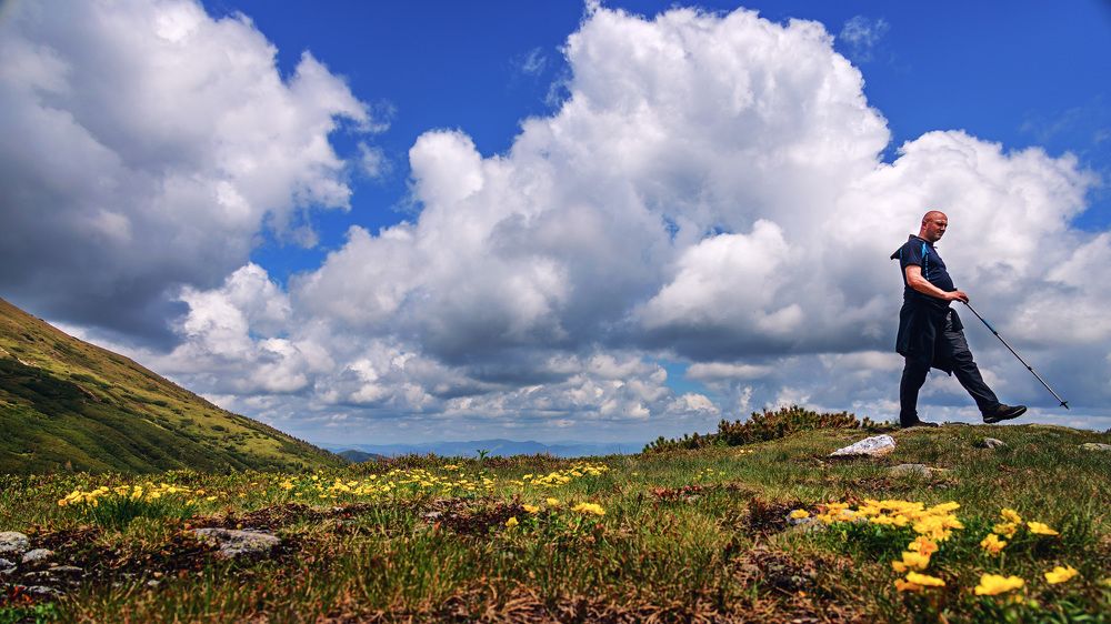 Фотография автора Cornelia Ghergut