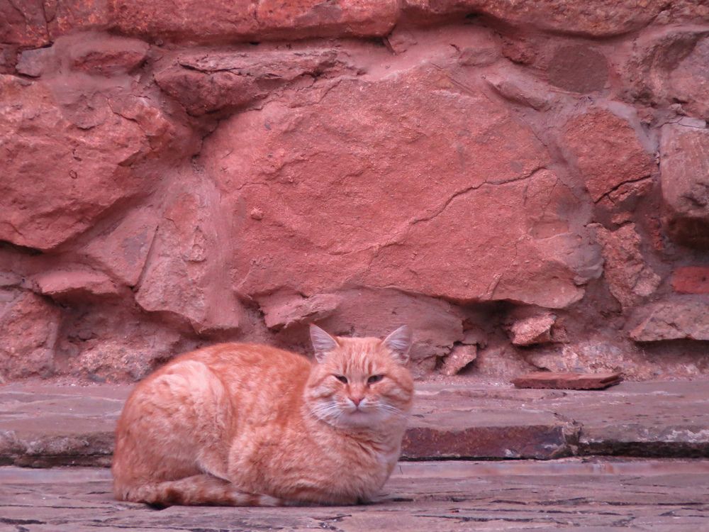 Photograph by Татьяна Стаскевич