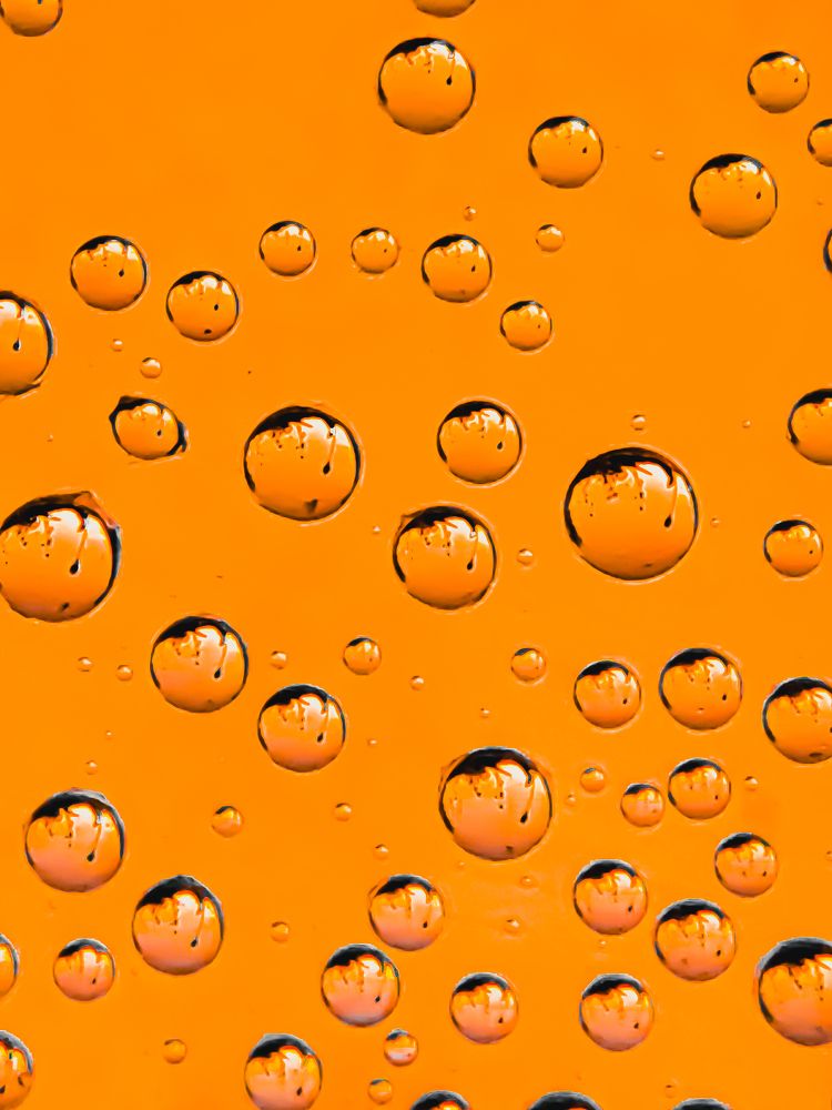 Фотография автора Наталья Алексеева