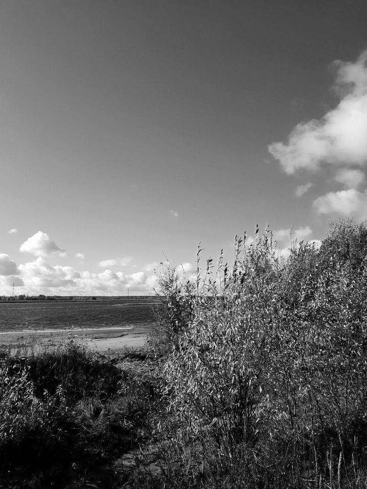 Photograph by Виталий