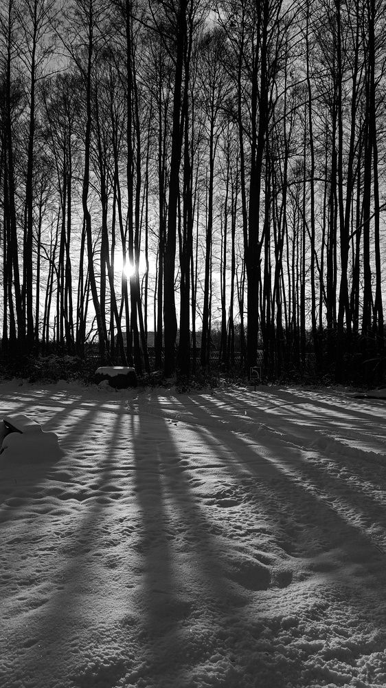 Photograph by Татьяна Яцкевич