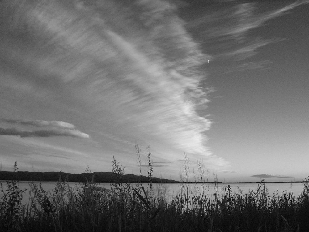 Photograph by Светлана Прокофьева