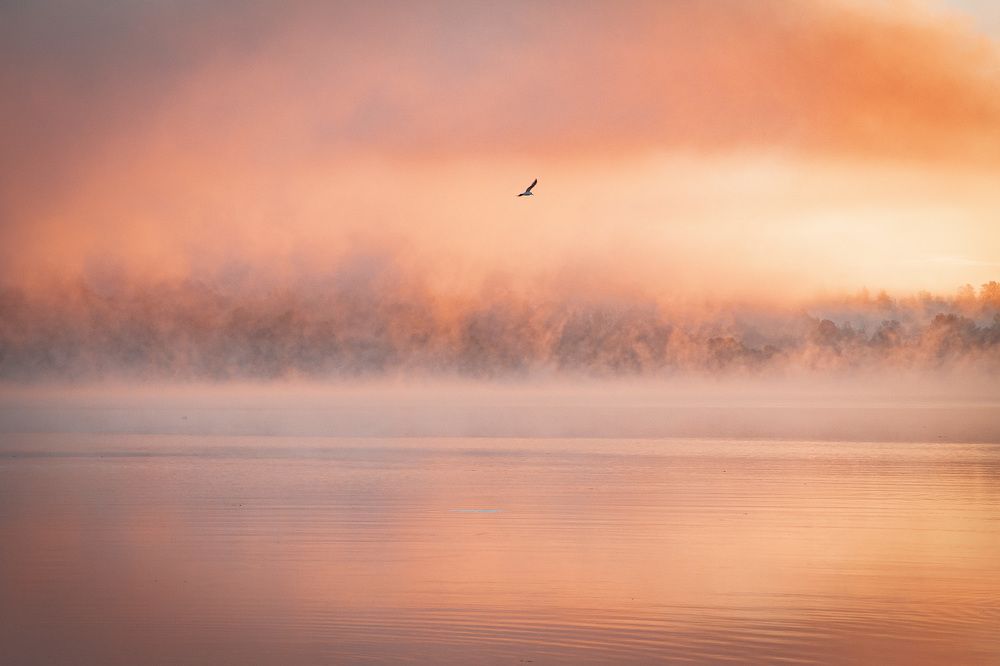 Photograph by Надежда Никитина