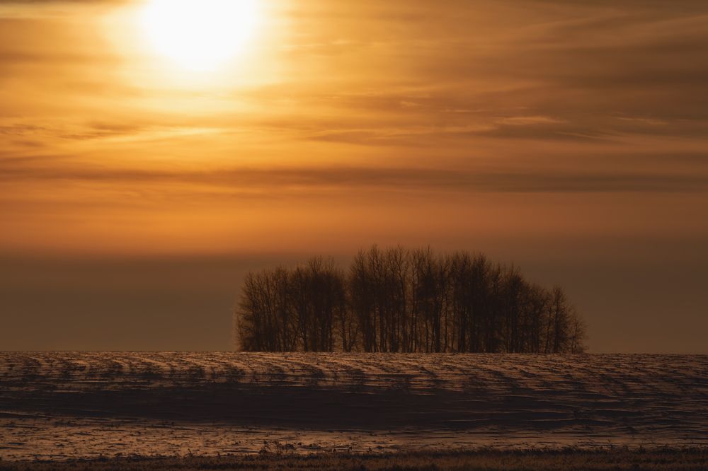 Photograph by Павел Гавриков