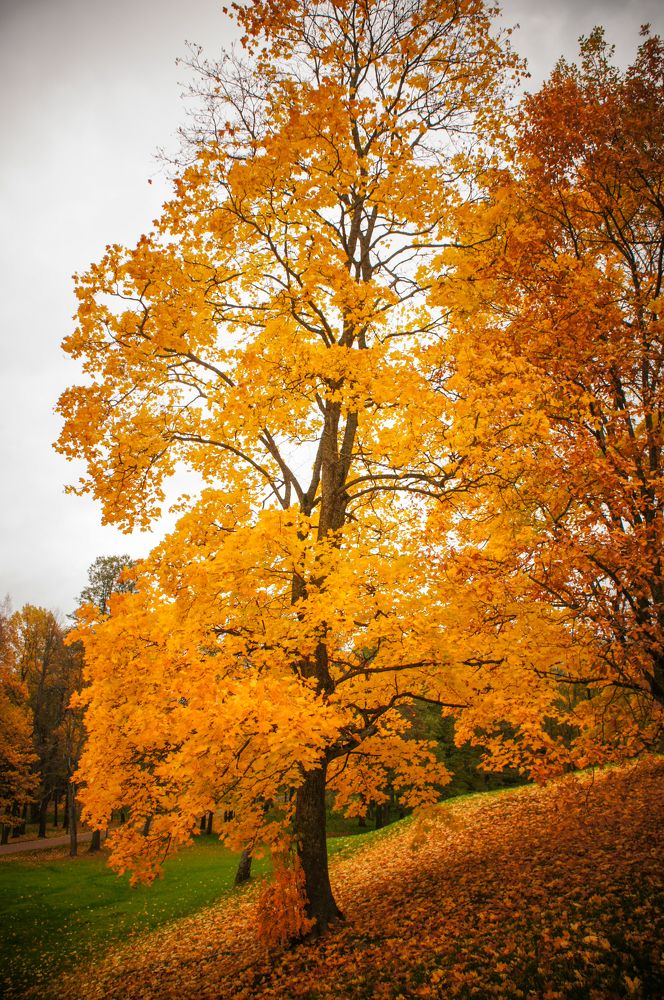 Фотография автора Ксения