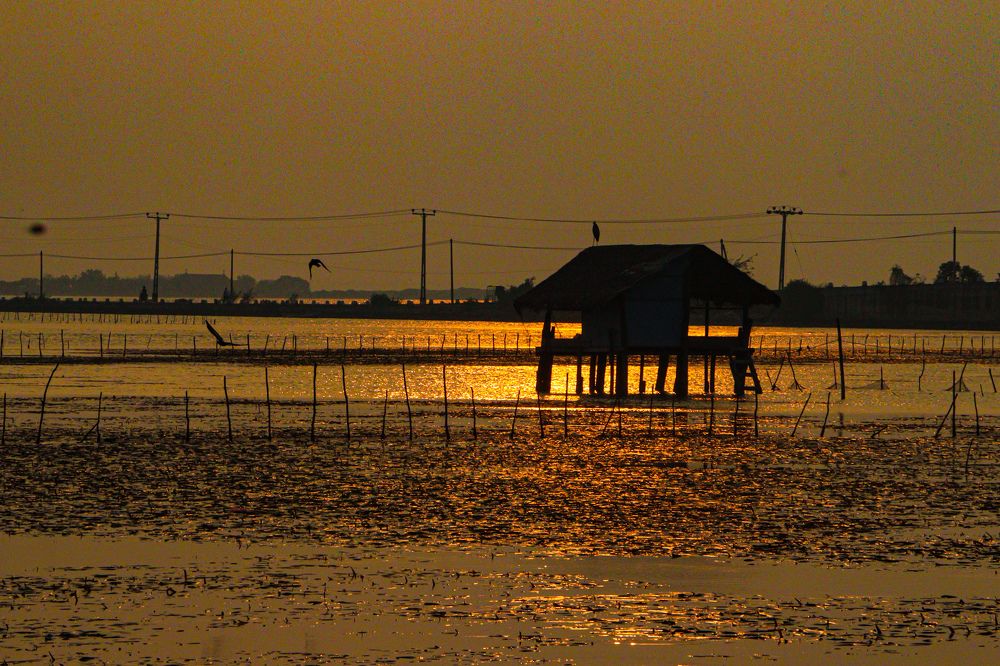 Photograph by Mithurshi Rajendran