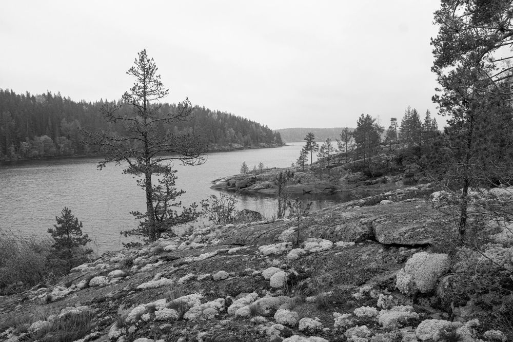 Photograph by Анна Васильева