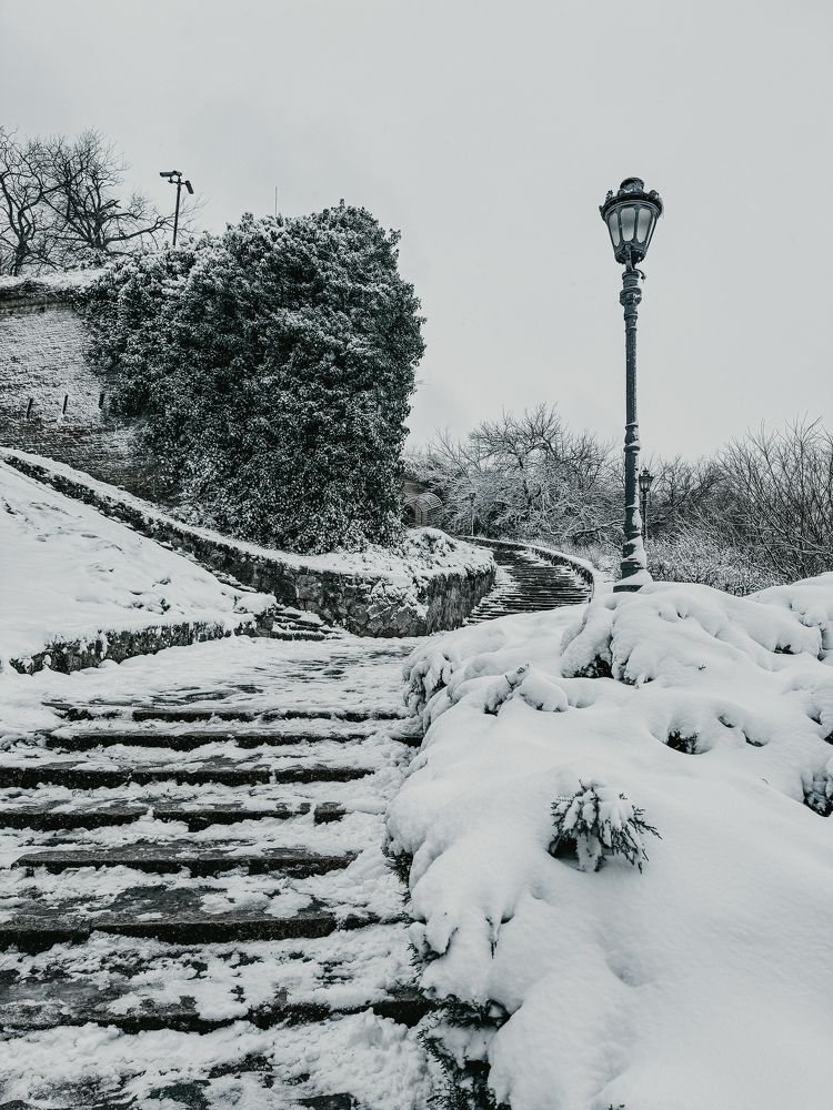 Photograph by Marianna Zakirova