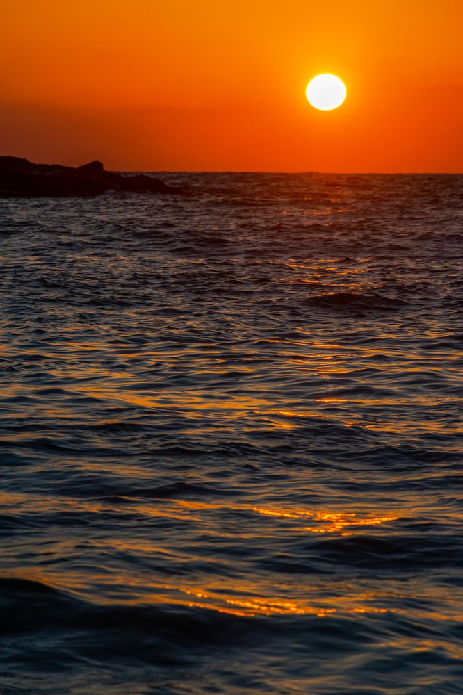 Photograph by ARANYA KAR