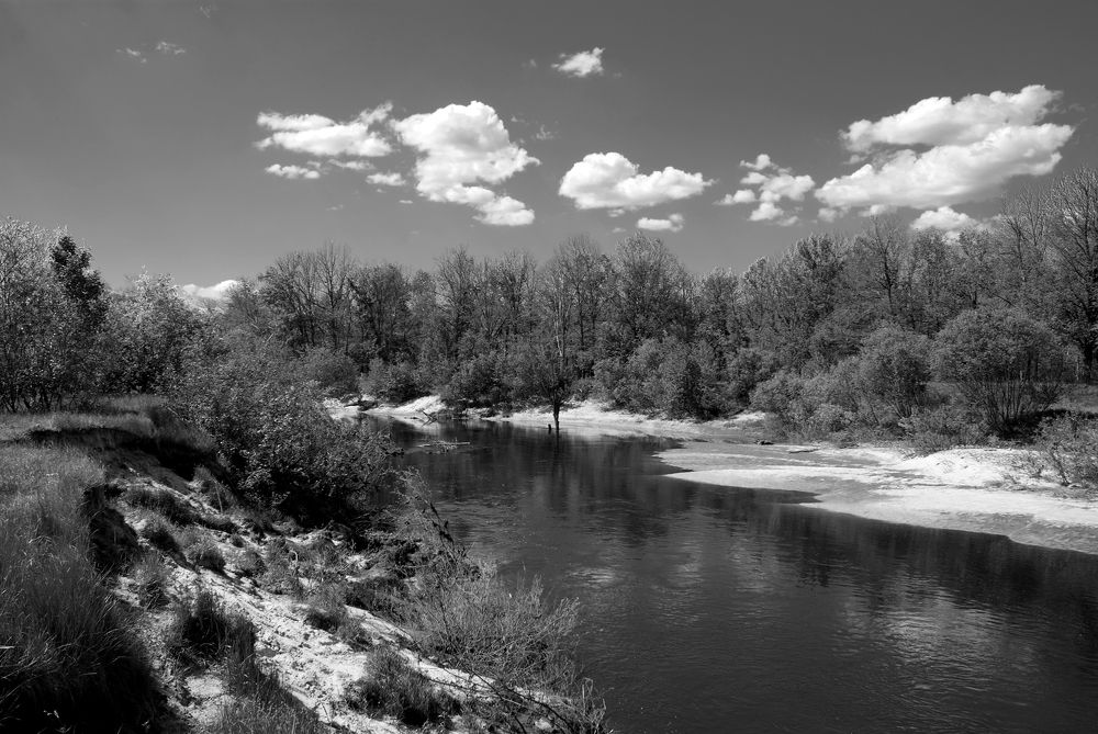 Photograph by Светлана Прокофьева