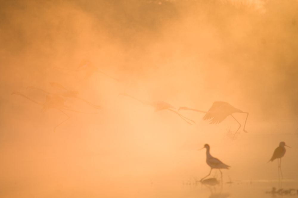 Photograph by Priteshsinh zala