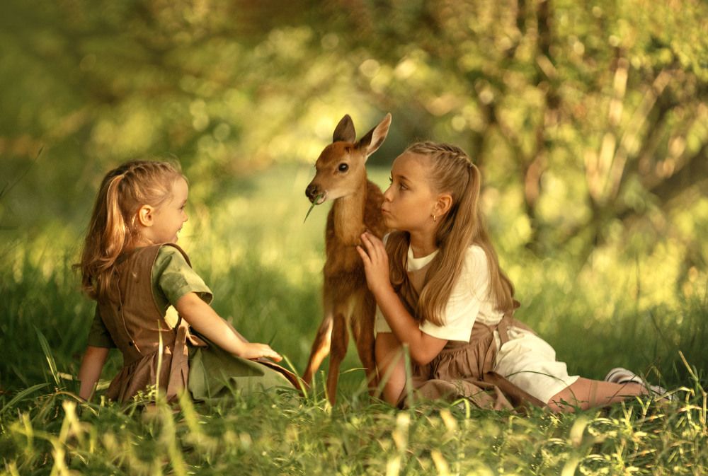 Photograph by Ольга Власкина