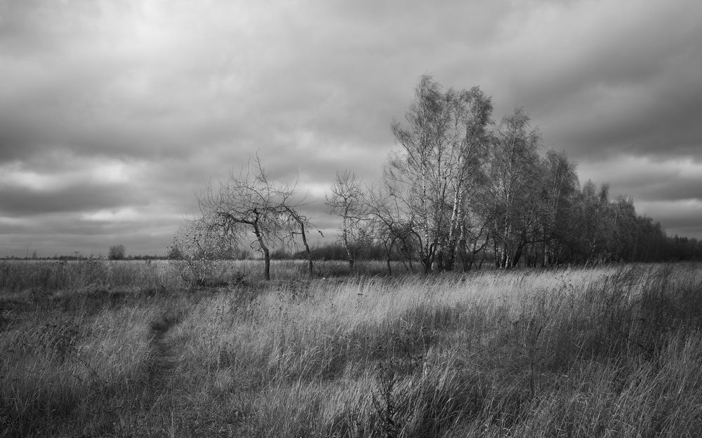 Photograph by Сергей Дивид