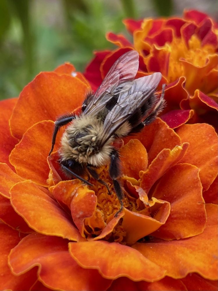 Фотография автора Olga Andriuc