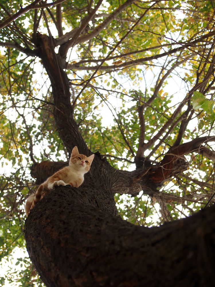 Photograph by Farid Ataei