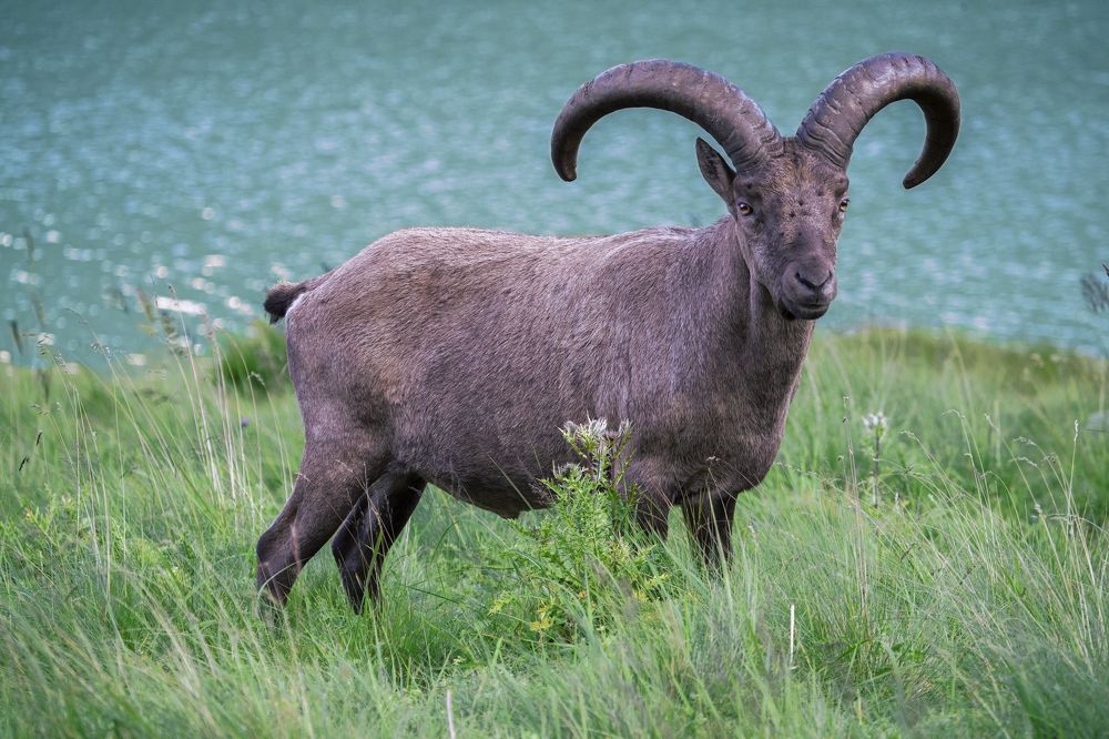 Photograph by Константин Кукушкин