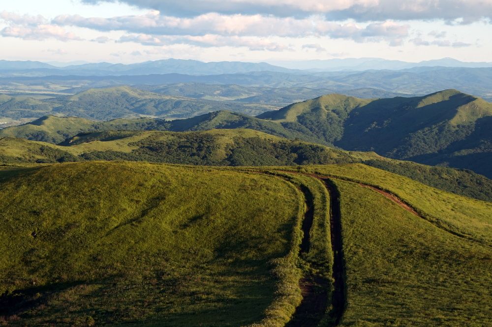 Photograph by Лена Максимкина