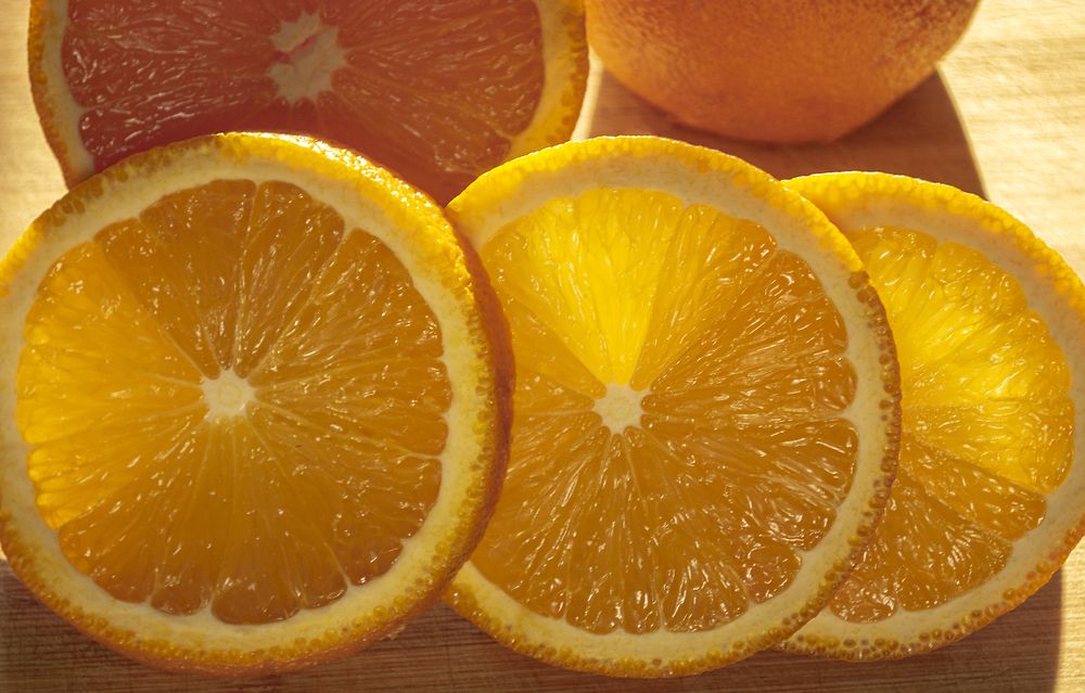 Photograph by Светлана Мельник