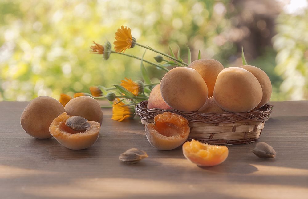 Photograph by Светлана Мельник