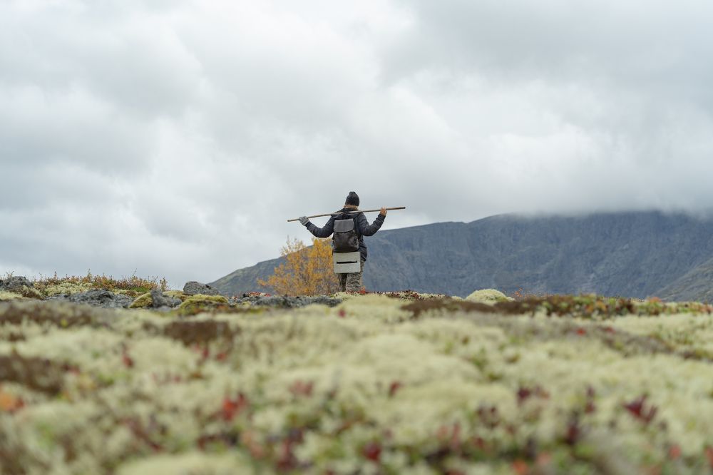 Photograph by Полина Артемина