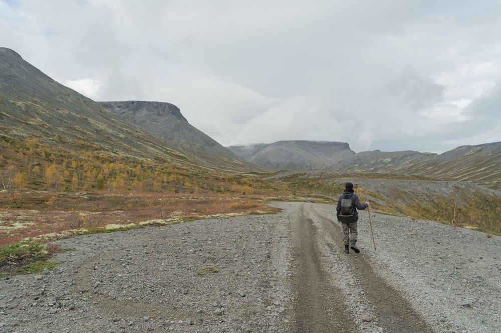 Photograph by Артем Полинин