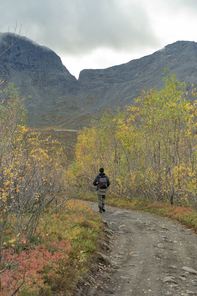 Photograph by Артем Полинин