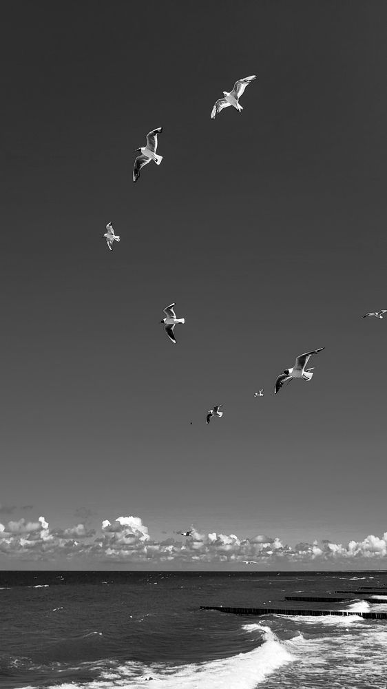 Photograph by Дарья