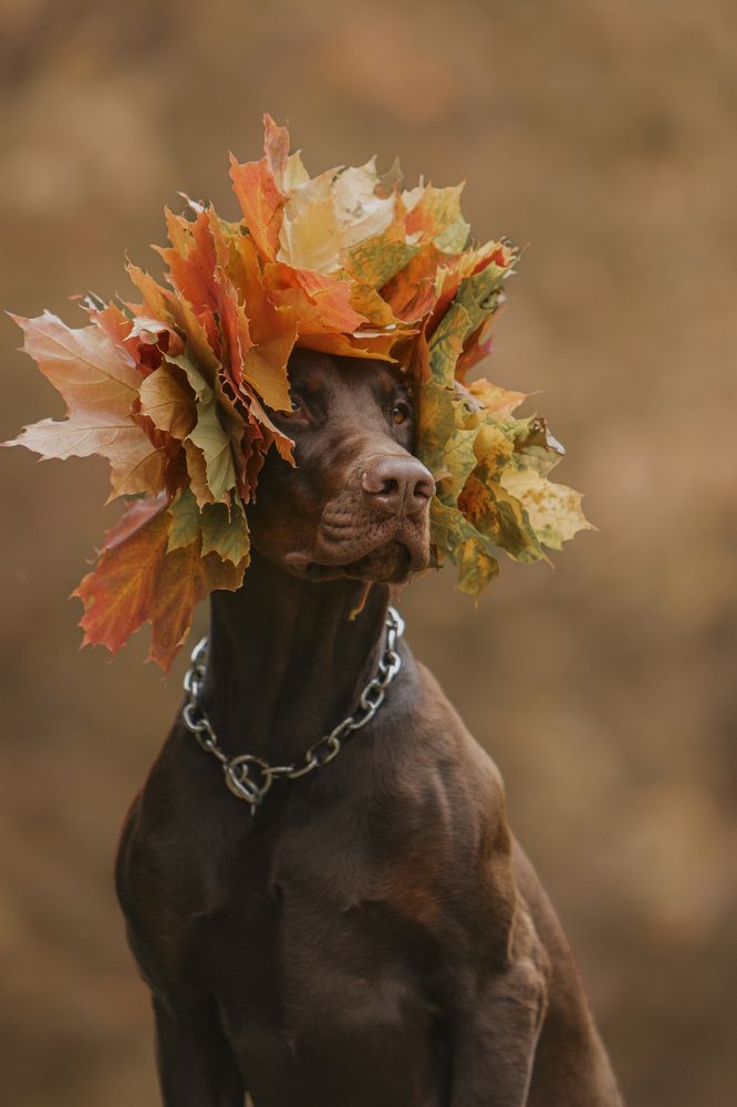 Photograph by Мария Клещенко