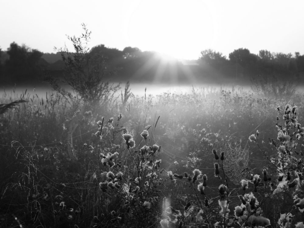 Photograph by Игорь Шевердин