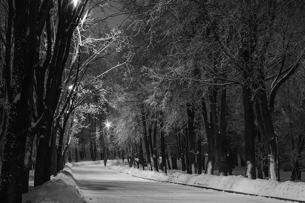 Фотография автора Борис Журавлёв