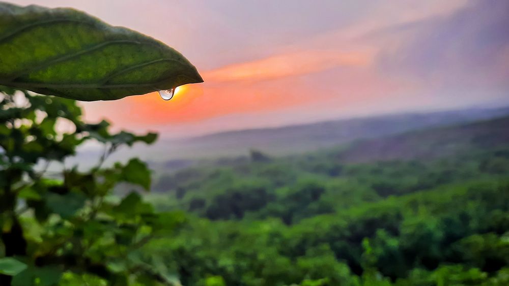 Photograph by Amit Prasad