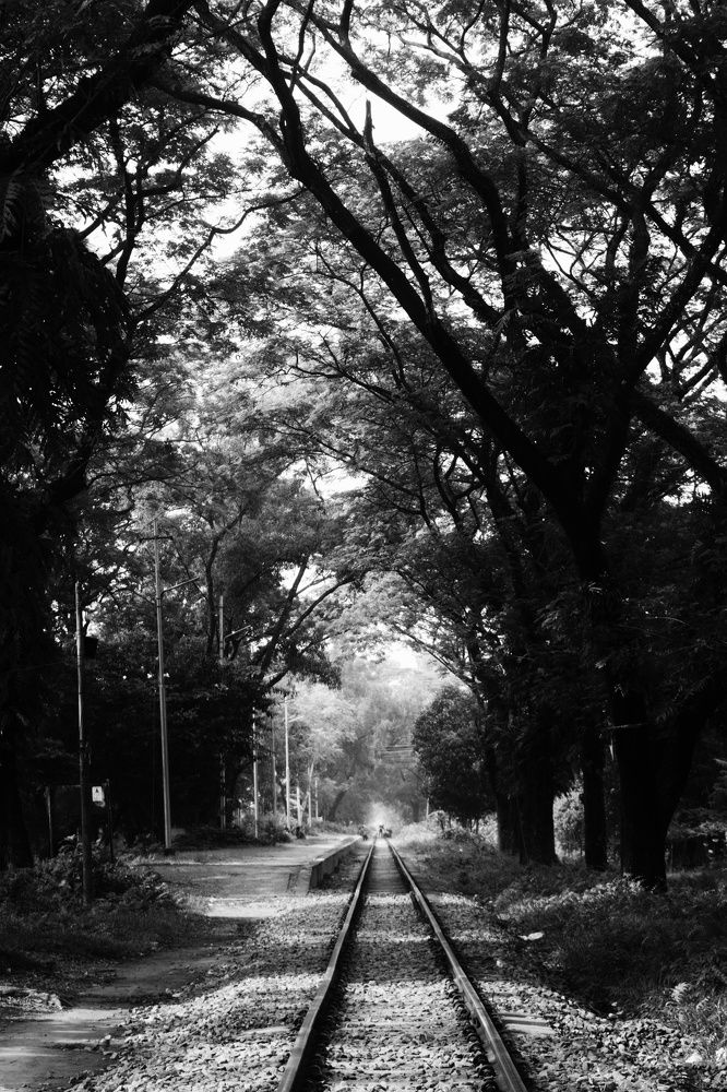 Фотография автора Sheuli Akther