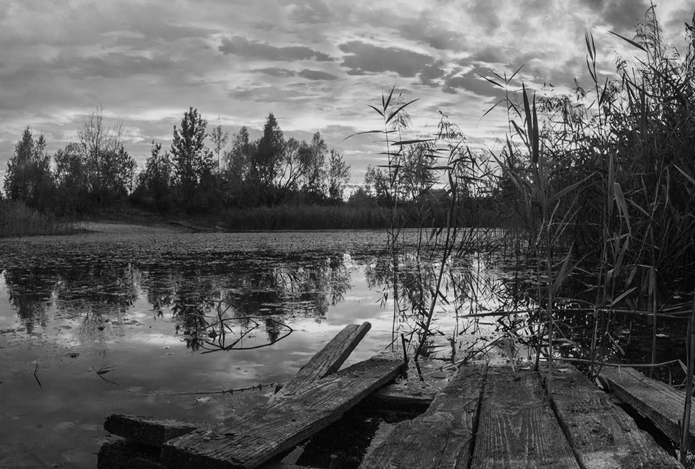 Фотография автора Борис Журавлёв