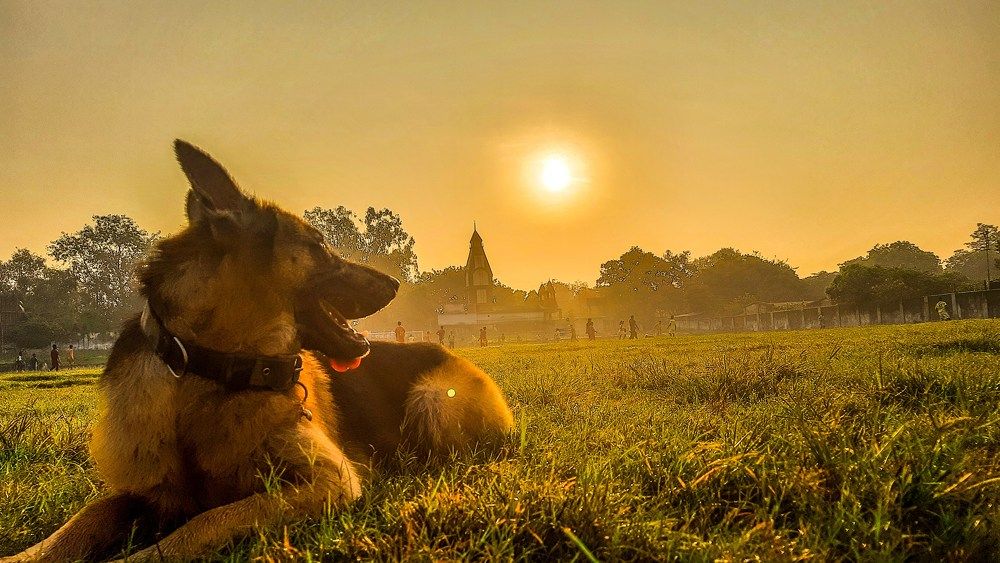 Photograph by Amit Prasad