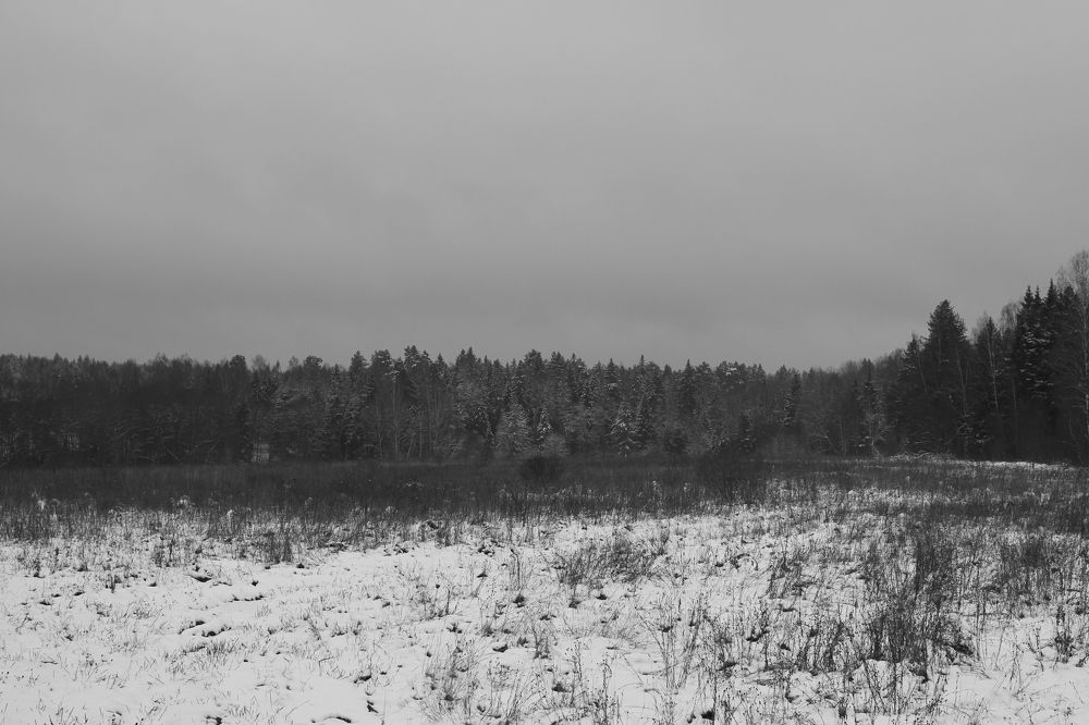 Photograph by Наталья Алексеева
