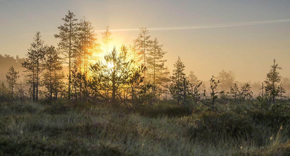 Photograph by Aleksey Aleshin