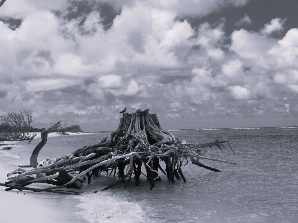 Photograph by Татьяна Поминова