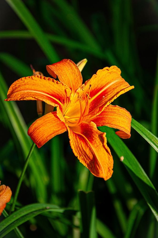 Photograph by Александра Шилина