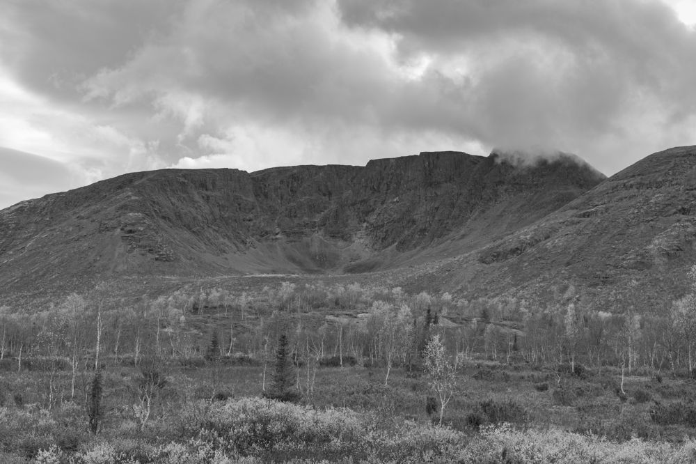 Photograph by Полина Артемина